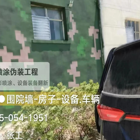 汕头数码迷彩漆施工